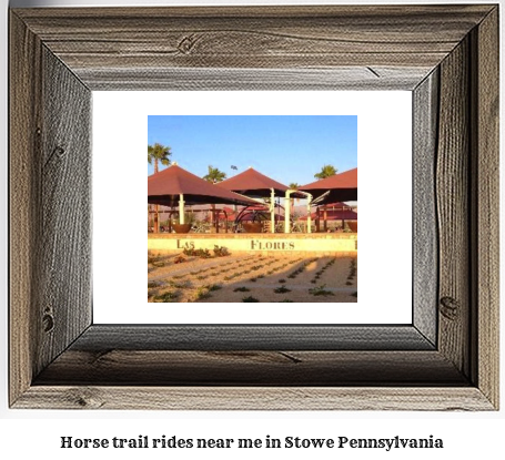 horse trail rides near me in Stowe, Pennsylvania